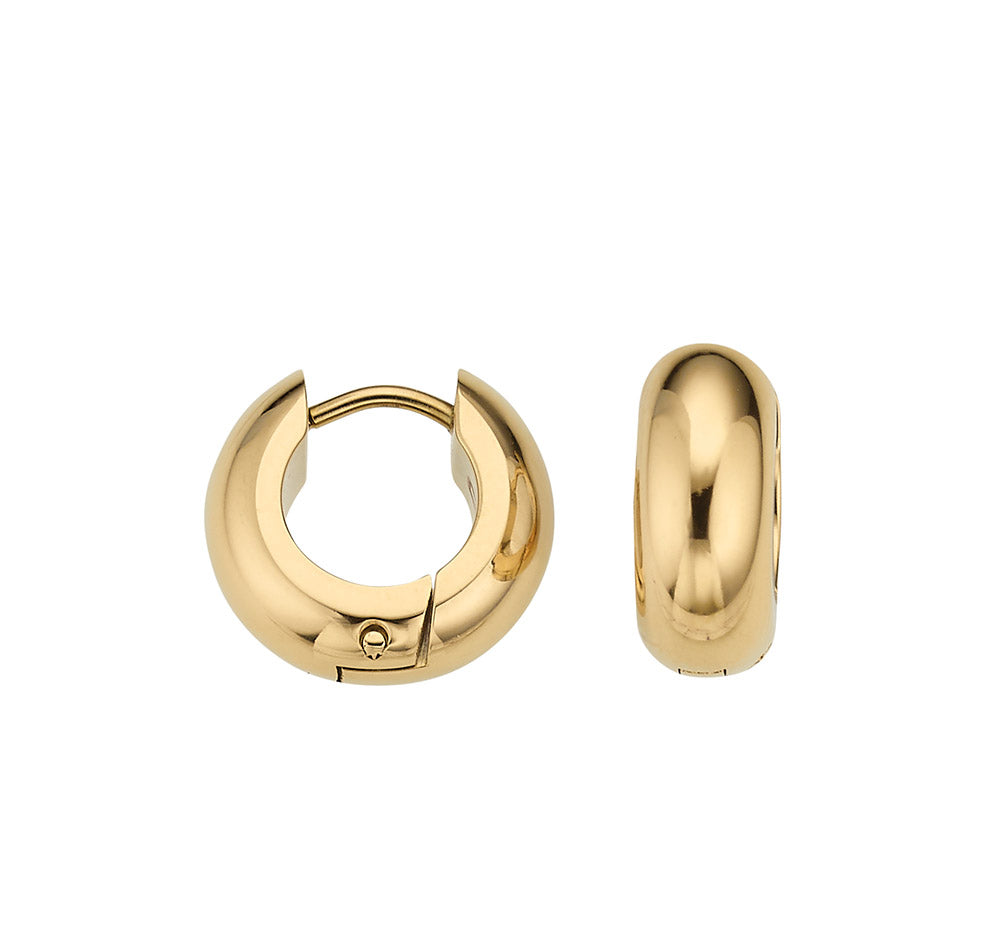 Titan Creolen Gold IP